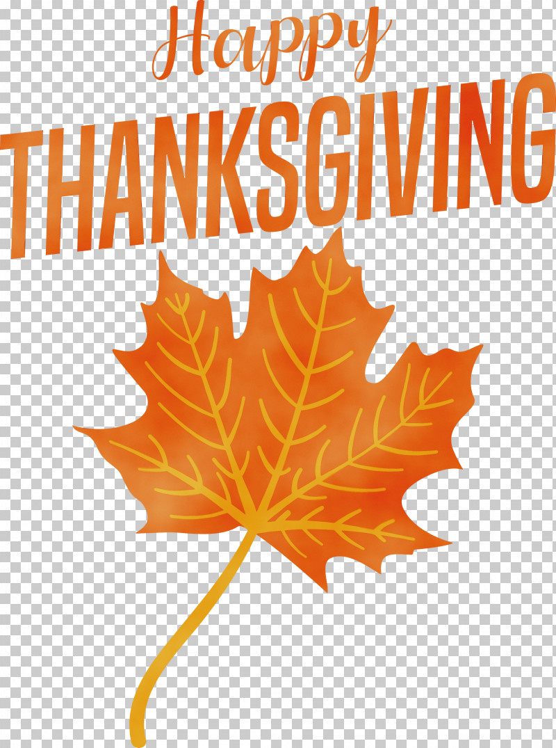 Leaf Maple Leaf / M Tree Line Font PNG, Clipart, Biology, Flower, Geometry, Happy Thanksgiving, Leaf Free PNG Download