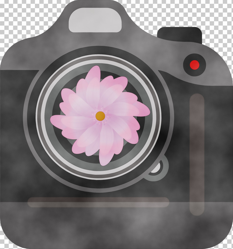 Petal Flower PNG, Clipart, Camera, Flower, Paint, Petal, Watercolor Free PNG Download