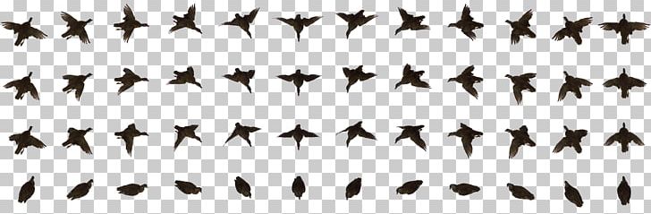 Bird Animation Computer Icons PNG, Clipart, Angle, Animation, Bird, Bird Animation, Black And White Free PNG Download