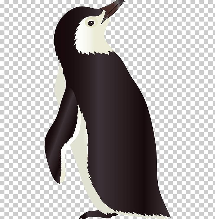 Penguin Razorbills Vecteur PNG, Clipart, Animals, Beak, Bird, Cartoon, Drawing Free PNG Download