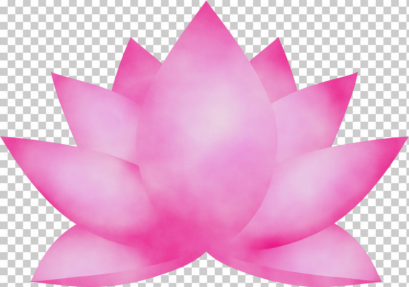 Lotus PNG, Clipart, Aquatic Plant, Flower, Lotus, Lotus Family, Magenta Free PNG Download
