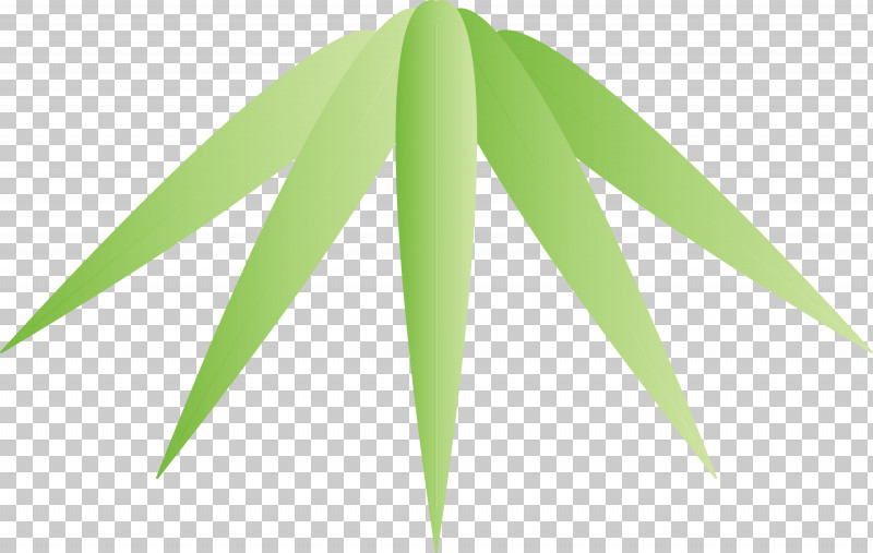Bamboo Leaf PNG, Clipart, Bamboo, Flower, Grass, Green, Leaf Free PNG Download