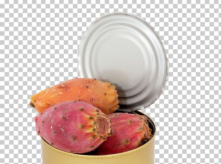 Fruit Pot Cactaceae PNG, Clipart, Android, Apple Fruit, Auglis, Cactaceae, Cactus Free PNG Download