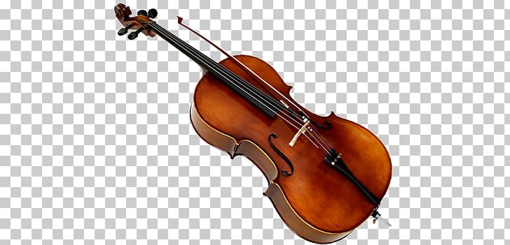 Musiciansupply LESSONS And GEAR Cello Violin Viola Musical Instruments PNG, Clipart, Assets, Bass, Bass Violin, Bowed String Instrument, Cellist Free PNG Download