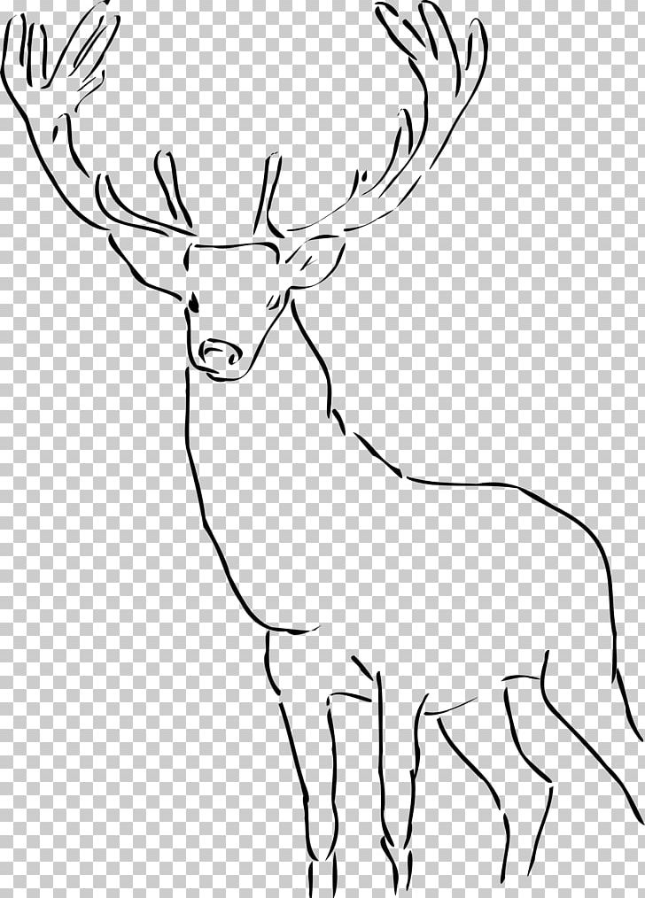Deer Drawing PNG, Clipart, Animals, Antler, Black And White, Cattle Like Mammal, Computer Icons Free PNG Download
