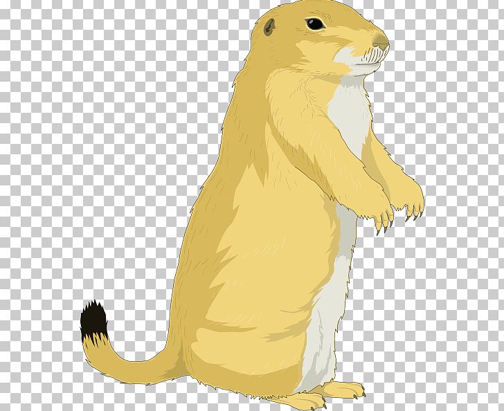 Groundhog Day Squirrel PNG, Clipart, Animation, Beaver, Burrow, Carnivoran, Cartoon Free PNG Download