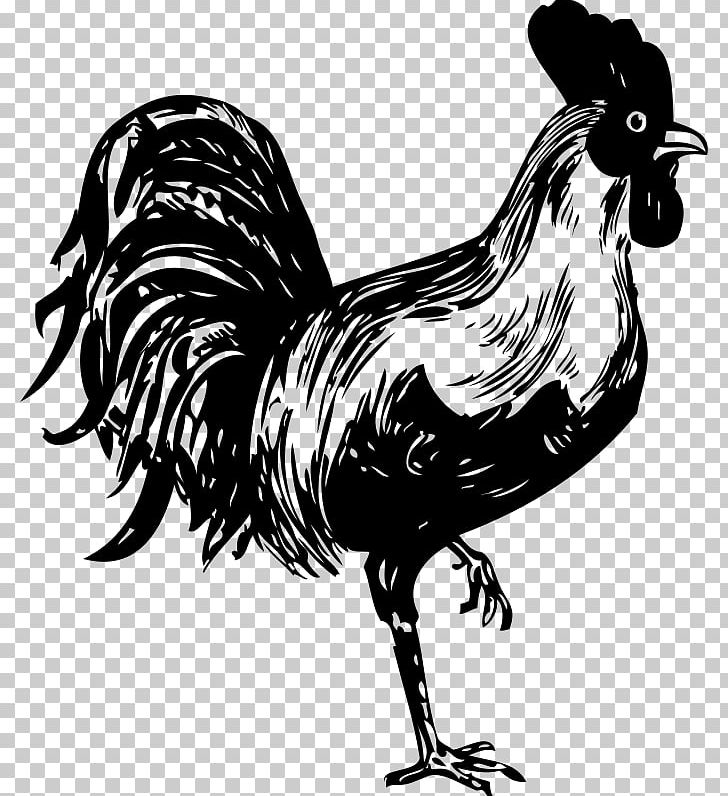 Rooster Stencil Chicken PNG, Clipart, Animals, Art, Beak, Bird, Black And White Free PNG Download