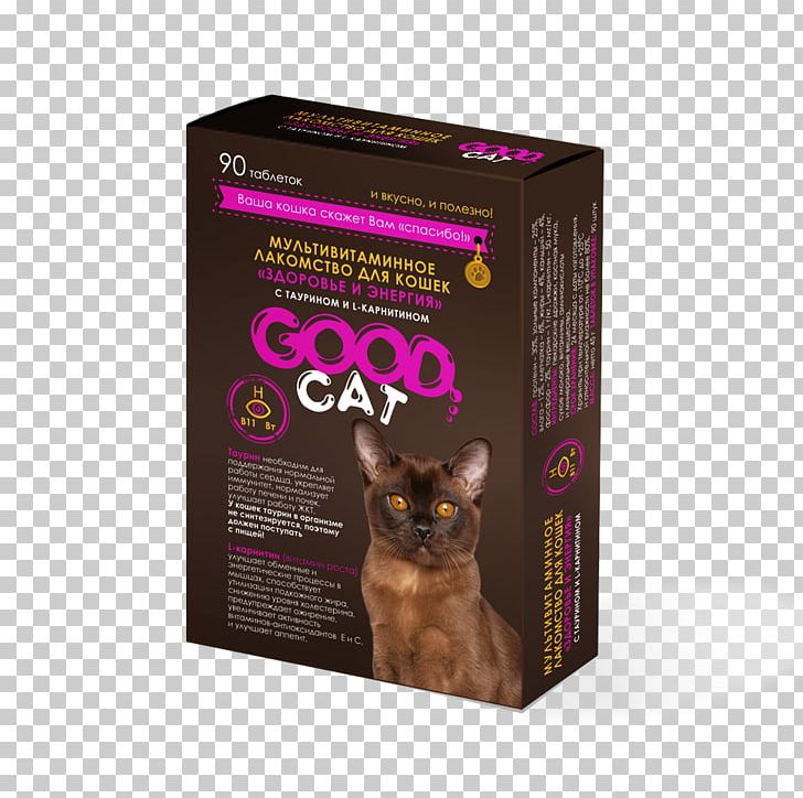 Cat Kitten Vitamin Veterinary Medicine Dog PNG, Clipart, Biotin, Cat, Cholecalciferol, Diet, Disease Free PNG Download