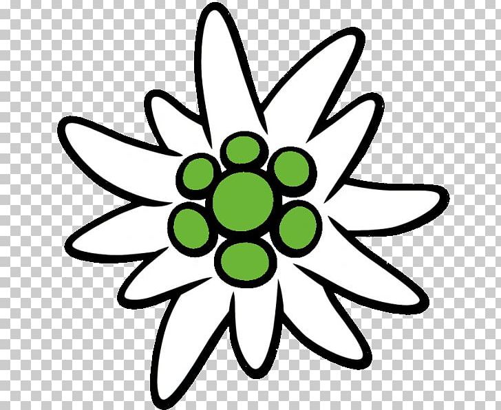 Drawing Illustration Graphics PNG, Clipart, Artwork, Botanical Illustration, Circle, Cut Flowers, Drawing Free PNG Download