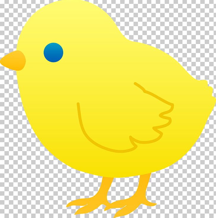 Chicken Pintinho Amarelinho PNG, Clipart, Animation, Art, Beak, Bird, Chicken Free PNG Download