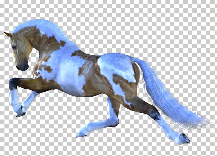 Horse Mare Stallion Pony PNG, Clipart, Animal Figure, Animals, Desktop Wallpaper, Drawing, English Riding Free PNG Download