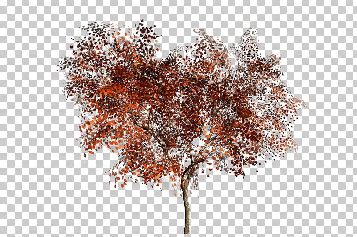 Twig Branch Tree Woody Plant PNG, Clipart, Bark, Barre, Branch, Cheval, Chien Free PNG Download
