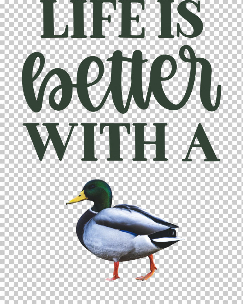 Life Better PNG, Clipart, Beak, Better, Biology, Birds, Duck Free PNG Download