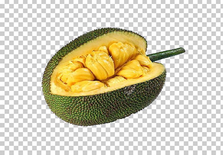 Jackfruit Cempedak Tropical Fruit Food PNG, Clipart, Breadfruit, Cempedak, Commodity, Food, Fruit Free PNG Download