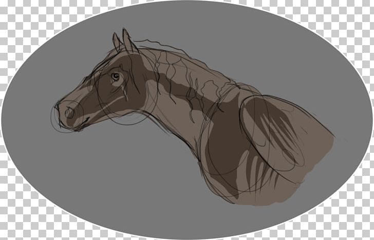 Mane Rein Mustang Pony Halter PNG, Clipart, Bridle, Cuet, Donkey, Drawing, Fauna Free PNG Download