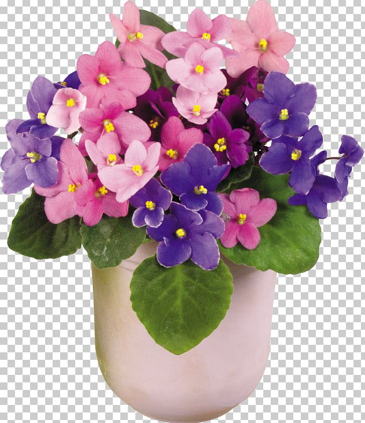 Viola Tricolor African Violets Houseplant Vase Flower PNG, Clipart, African Violets, Flower, Flowering Plant, Flowerpot, Herbaceous Plant Free PNG Download