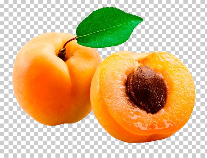 Apricot Kernel Fruit Noyau Amygdalin PNG, Clipart, Amygdalin, Apricot, Apricot Kernel, Auglis, Avocado Free PNG Download