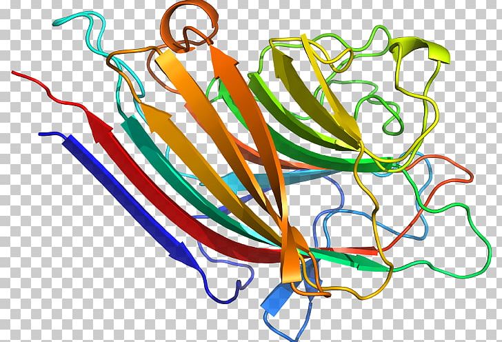 Line Organism Point PNG, Clipart, Arachis, Area, Art, Artwork, Line Free PNG Download