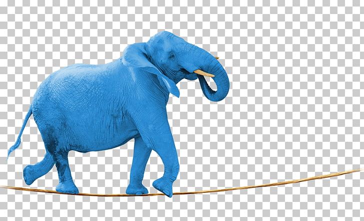 Stock Photography PNG, Clipart, African Elephant, Animal, Animal Figure, Elephant, Elephants And Mammoths Free PNG Download