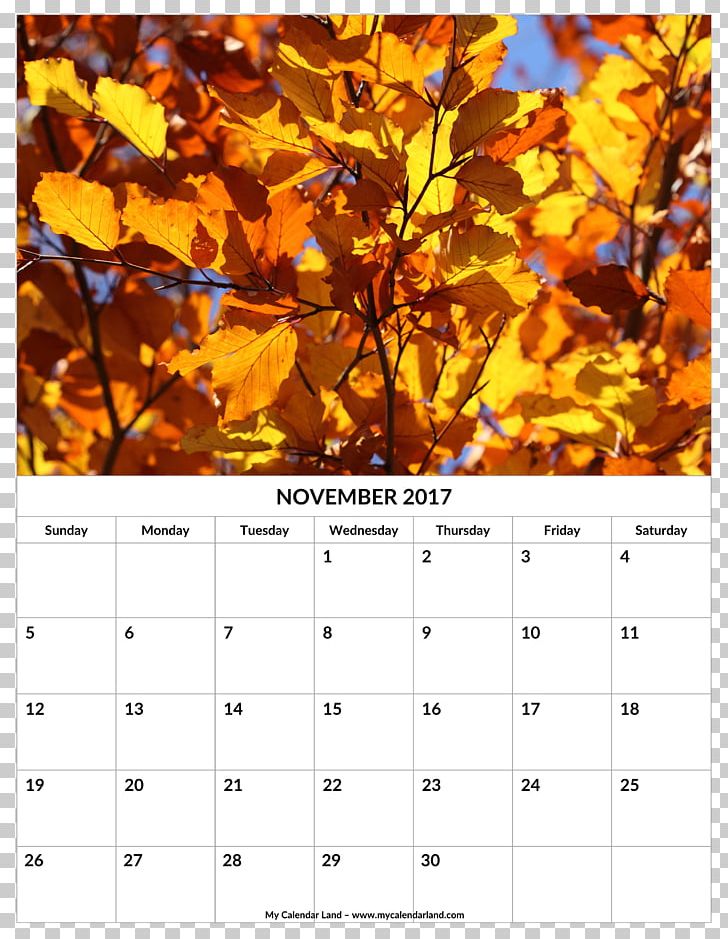 Autumn Tree Leaf Winter PNG, Clipart, Autumn, Calendar, Crown, Earth Day, Fog Free PNG Download
