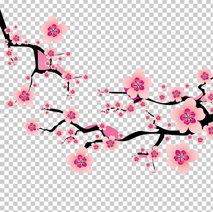 Cherry Blossom Plum Blossom PNG, Clipart, Branch, Cherry, Drawing, Floral Design, Flower Free PNG Download
