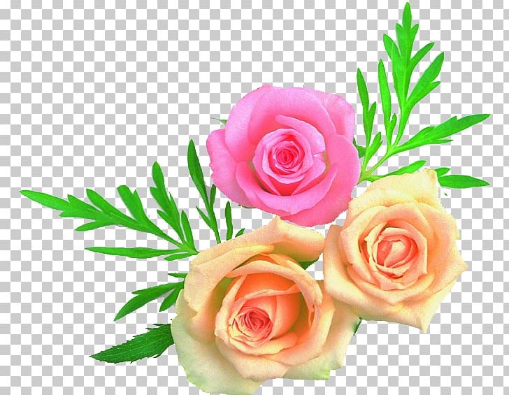 Garden Roses Cabbage Rose Floral Design Cut Flowers Flower Bouquet PNG, Clipart, Cut Flowers, Floral Design, Floristry, Flower, Flower Arranging Free PNG Download