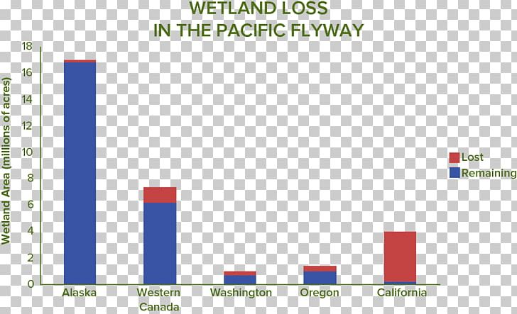 Wetlands International Water Bird California Percentage PNG, Clipart, Angle, Area, Brand, California, Chart Free PNG Download