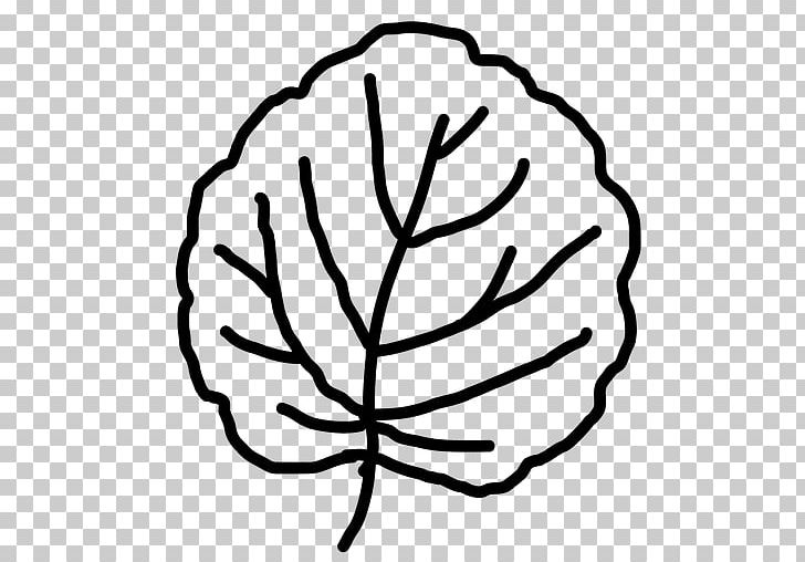 Branch Leaf Drawing PNG, Clipart, Artwork, Black And White, Branch, Circle, Draw Free PNG Download