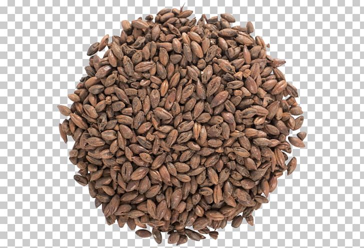 Brown Ale Stout Malt Pilsner Porter PNG, Clipart, Ale, Barley, Beer, Beer Brewing Grains Malts, Brewery Free PNG Download