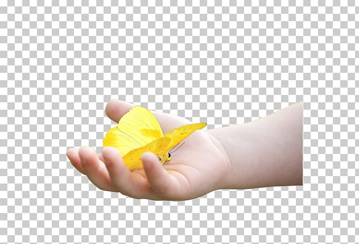 Finger PNG, Clipart, Art, Butterfly, Eczema, Every Day, Finger Free PNG Download
