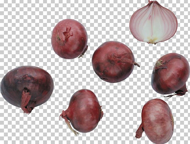 Shallot Vegetable Red Onion Garlic Beetroot PNG, Clipart, Beet, Beetroot, Berry, Flavor, Food Free PNG Download