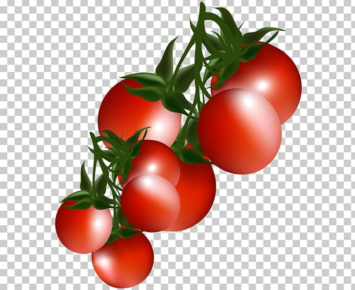 Cherry Tomato Vegetable Fruit PNG, Clipart, Bell Pepper, Bush Tomato, Capsicum, Cherry, Cherry Tomato Free PNG Download