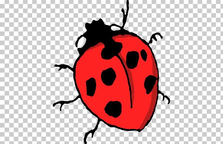 Ladybird Insect PNG, Clipart, Animal, Animals, Artwork, Beetle, Bug Free PNG Download