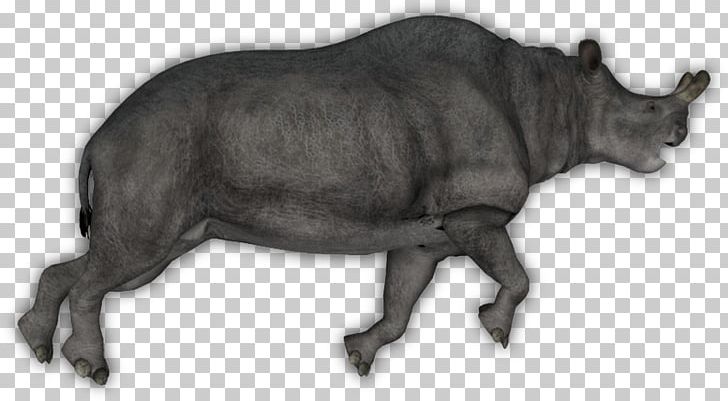 Cattle Tapir Rhinoceros Bison Horn PNG, Clipart, Animal, Animal Figure, Animals, Bison, Black And White Free PNG Download