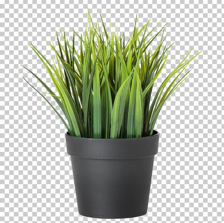 Houseplant Flowerpot Plants For The Home Bamboo PNG, Clipart, Artificial Flower, Bamboo, Flower, Flowerpot, Garden Free PNG Download