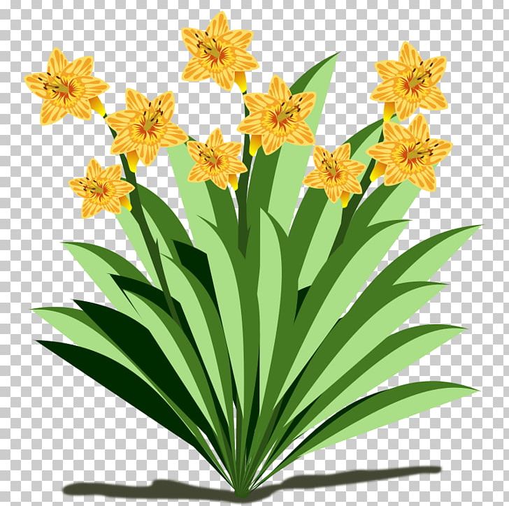 YouTube PNG, Clipart, Amaryllis Family, Animation, Download, Flora, Flower Free PNG Download