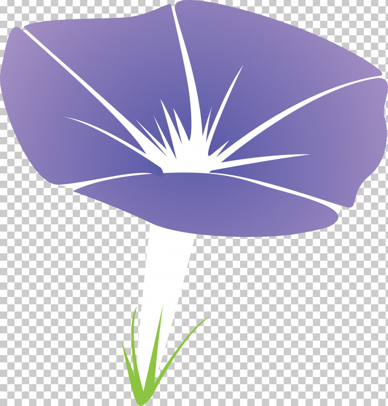 Morning Glory Flower PNG, Clipart, Anthurium, Flower, Leaf, Logo, Morning Glory Free PNG Download