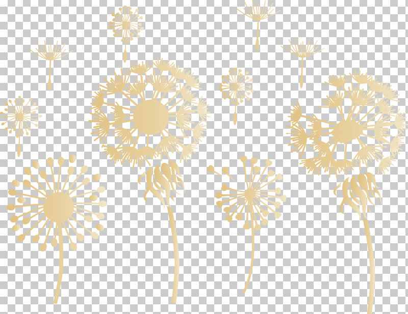 Dandelion PNG, Clipart, Chrysanthemum, Cut Flowers, Dandelion, Floral Design, Flower Free PNG Download