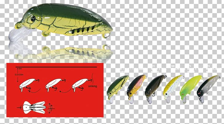 Fishing Baits & Lures PNG, Clipart, Fishing, Fishing Bait, Fishing Baits Lures, Fishing Lure, Fish Shop Free PNG Download