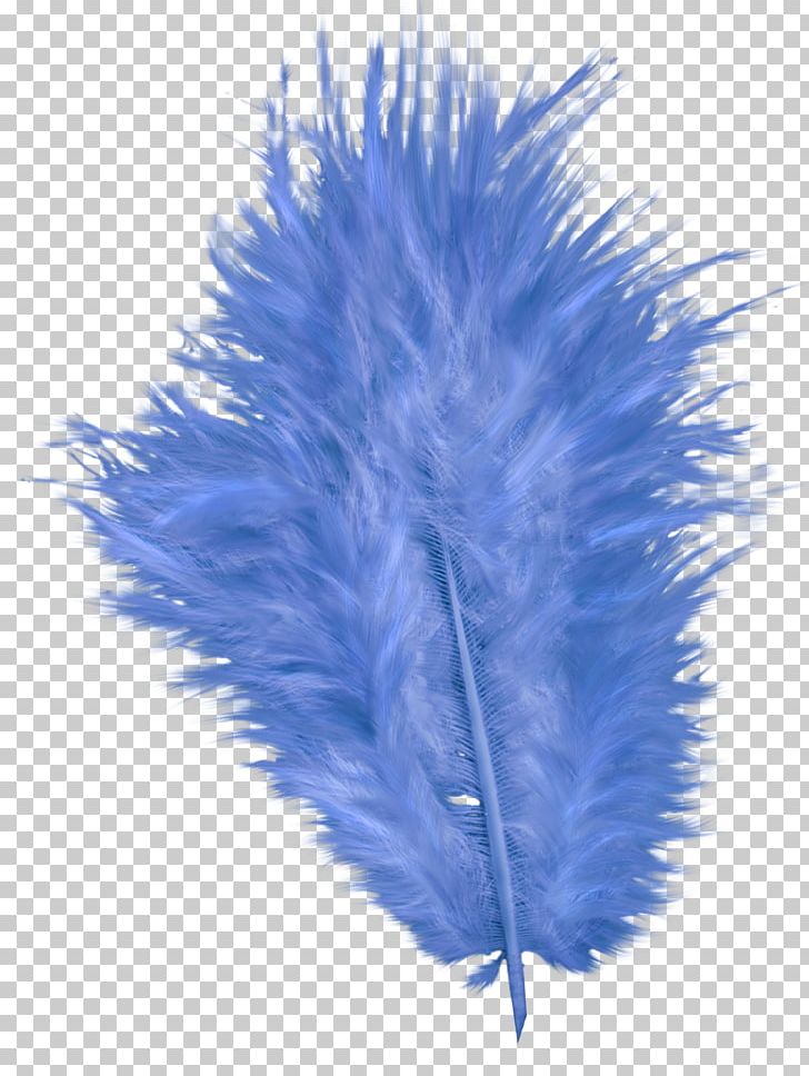 Cobalt Blue Feather PNG, Clipart, 500 X, Animals, Blue, Blue Feather, Cobalt Free PNG Download