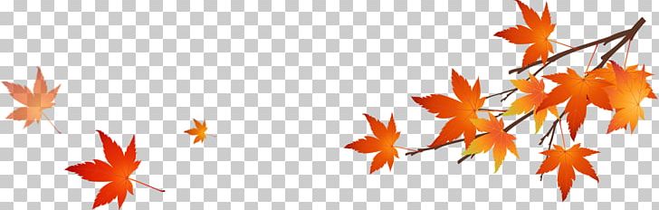 Text Leaf Illustration PNG, Clipart, Autumn, Computer Icons, Computer Wallpaper, Deadwood, Decorative Patterns Free PNG Download