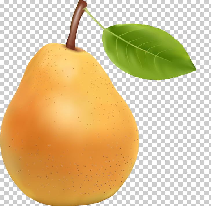 Apple Sydney Illustration PNG, Clipart, Adobe Illustrator, Asian Pear, Citrus, Encapsulated Postscript, Food Free PNG Download