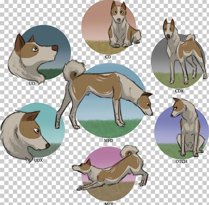 Cat Dog Horse PNG, Clipart, Animals, Canidae, Carnivoran, Cartoon, Cat Free PNG Download