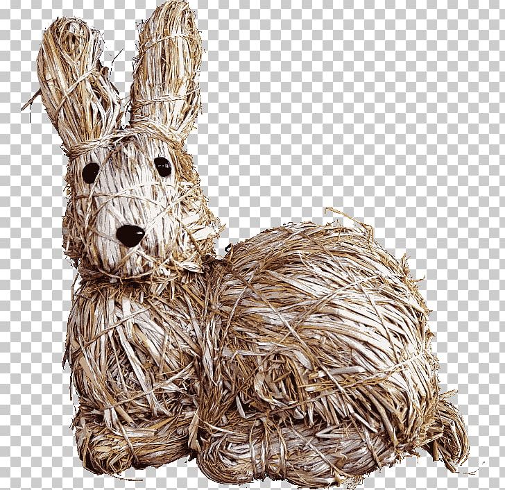 Easter Bunny Rabbit Hare PNG, Clipart, Dog Like Mammal, Download, Easter, Easter Bunny, Frohe Ostern Free PNG Download
