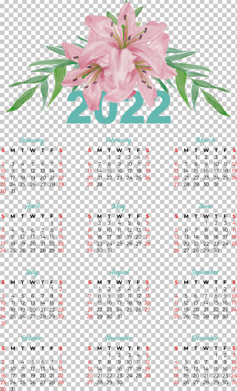 Flower Calendar Meter Plant Science PNG, Clipart, Biology, Calendar, Flower, Meter, Plant Free PNG Download