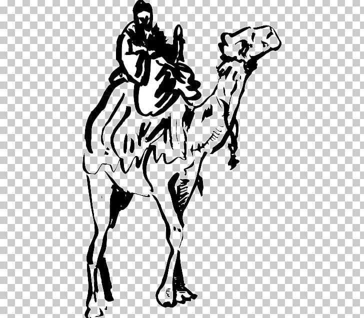 Dromedary Drawing PNG, Clipart, Ancient Dog Breeds, Animal, Art, Artwork, Black And White Free PNG Download