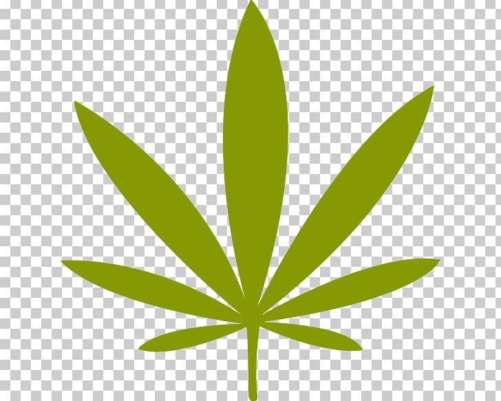 Medical Cannabis Dispensary Cannabis Shop Cannabis Smoking PNG, Clipart, Cannabis, Cannabis Culture, Cannabis Shop, Cannabis Smoking, Dispensary Free PNG Download