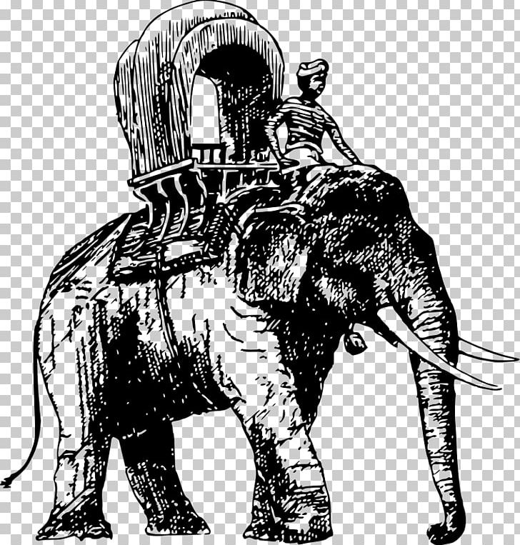 Mammal Carnivoran Monochrome PNG, Clipart, African Elephant, Art, Big Cats, Black And White, Carnivoran Free PNG Download