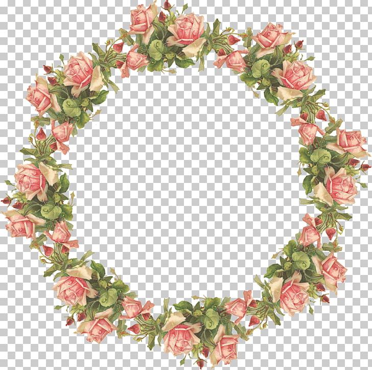 Flower Frame Display Resolution PNG, Clipart, Clip Art, Display Resolution, Download, Floral Design, Floristry Free PNG Download