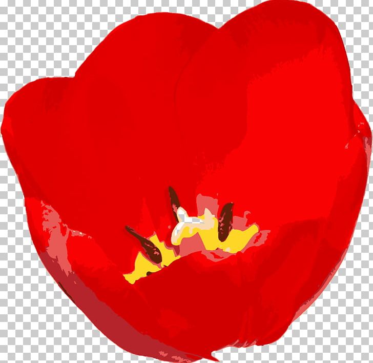 Flowering Plant Love Tulip Petal PNG, Clipart, Coquelicot, Flower, Flowering Plant, Heart, Love Free PNG Download